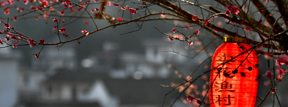 春來(lái)花開(kāi)，綻放正當(dāng)時(shí)