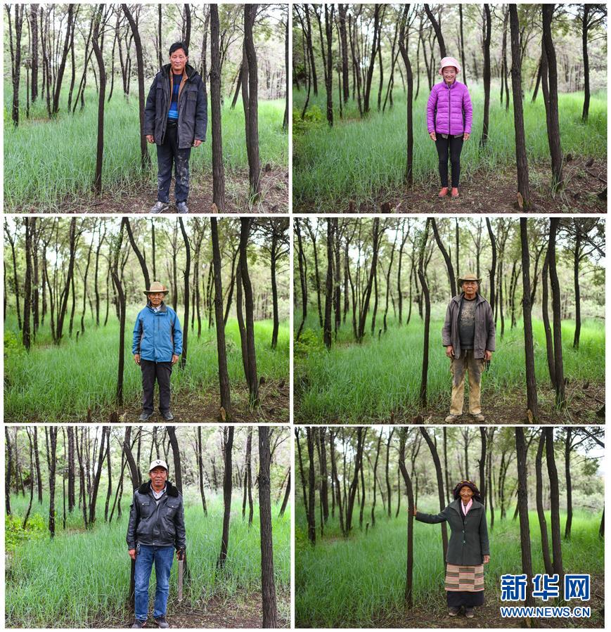 （十九大·讀報(bào)告 話民生）（9）加快生態(tài)文明體制改革，建設(shè)美麗中國(guó)