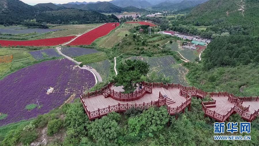 （十九大·讀報告 話民生）（10）加快生態(tài)文明體制改革，建設(shè)美麗中國