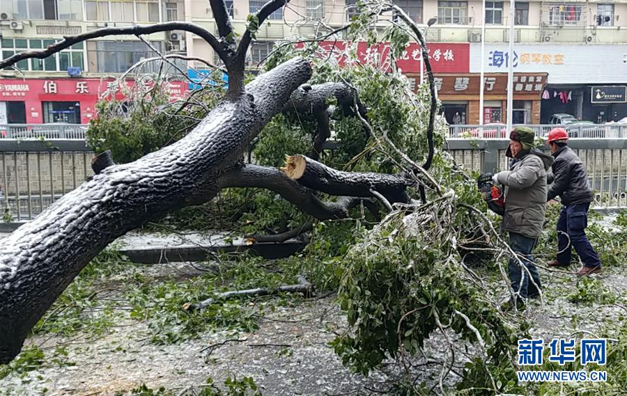 (新華全媒頭條)(7)雨雪冰凍中,他們奮力前行——基層黨員干群抗擊冰雪災害紀實