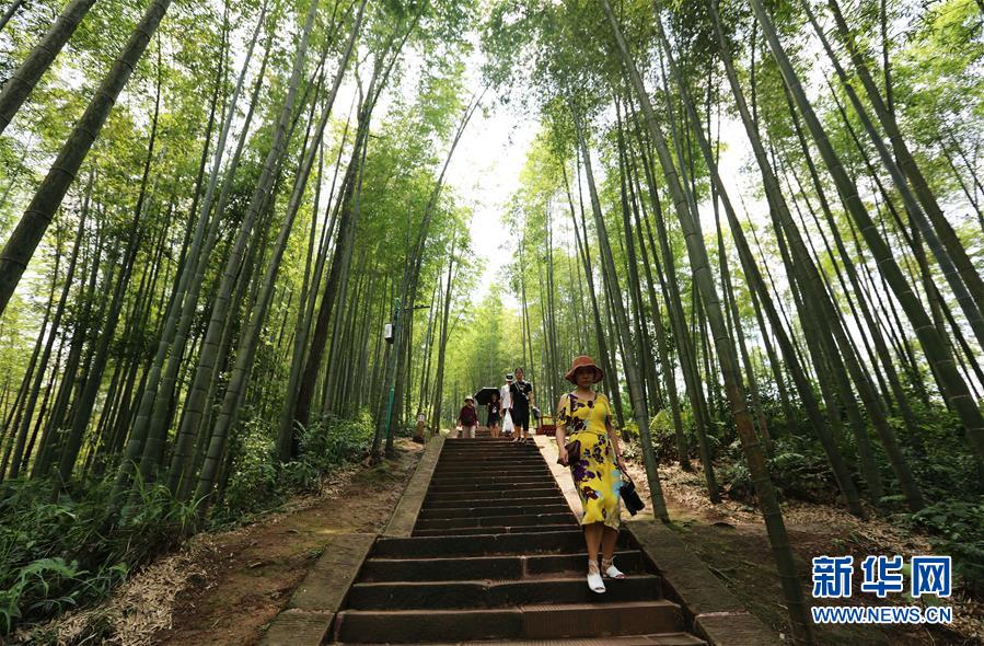 （在習(xí)近平新時(shí)代中國(guó)特色社會(huì)主義思想指引下·慶祝改革開放40周年·綠色發(fā)展·圖文互動(dòng)）（1）向陽花木易為春——綠色發(fā)展之“木”的故事