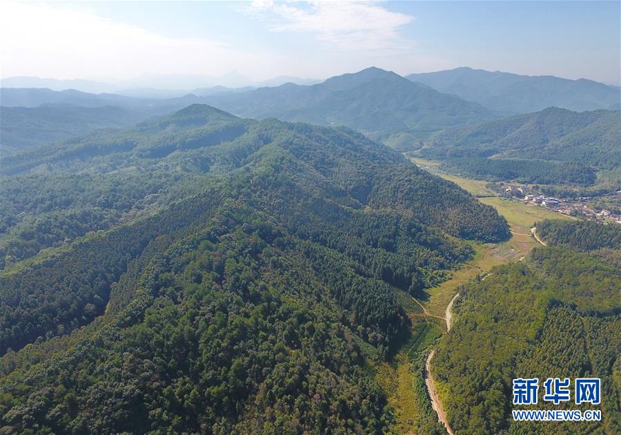 （在習(xí)近平新時(shí)代中國(guó)特色社會(huì)主義思想指引下·慶祝改革開放40周年·綠色發(fā)展·圖文互動(dòng)）（3）向陽花木易為春——綠色發(fā)展之“木”的故事