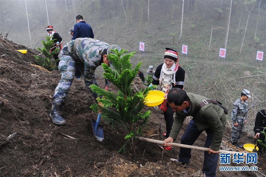 （圖文互動）（6）和平年代，離死神最近的人——南部戰區陸軍云南掃雷大隊邊境掃雷排爆記事