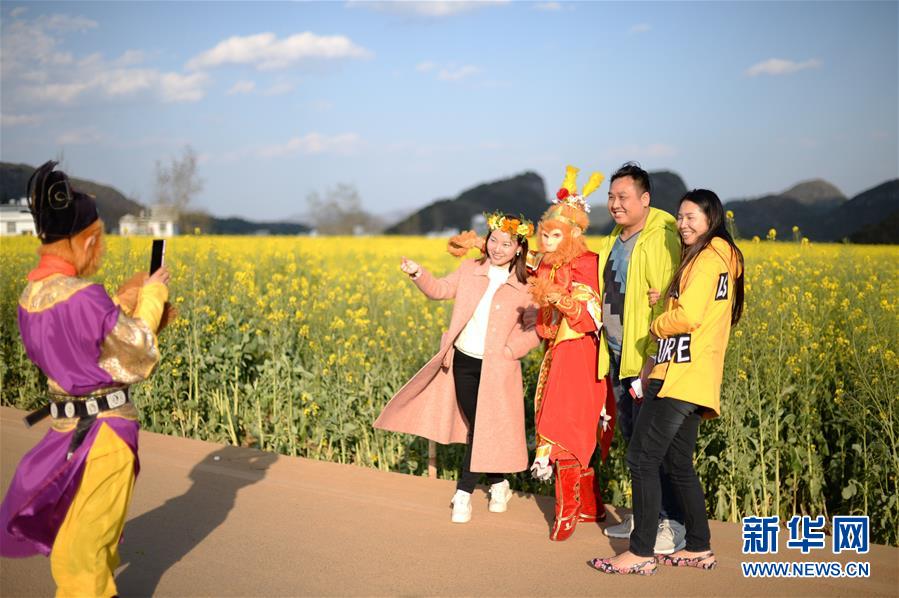 （在習(xí)近平新時(shí)代中國特色社會主義思想指引下——新時(shí)代新作為新篇章·圖文互動）（3）高原春來早 云嶺開新篇 