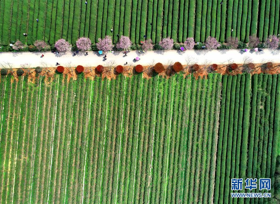 （新華全媒頭條·兩會精神看落實·圖文互動）（3）保持戰(zhàn)略定力 跨越重要關口——落實兩會精神加強生態(tài)文明建設述評
