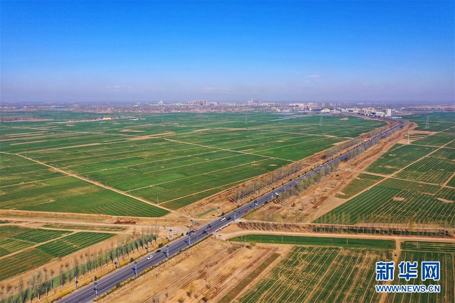 （新華全媒頭條·圖文互動）（2）奮進，向著未來之城！——河北雄安新區建設發展兩周年紀實