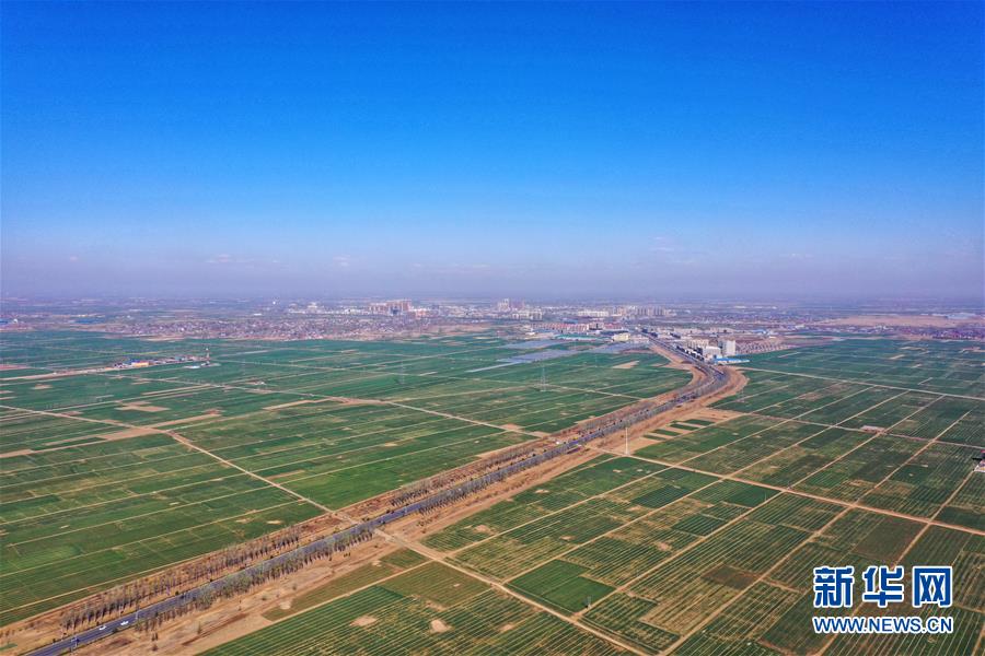 （新華全媒頭條·圖文互動）（6）奮進，向著未來之城！——河北雄安新區建設發展兩周年紀實
