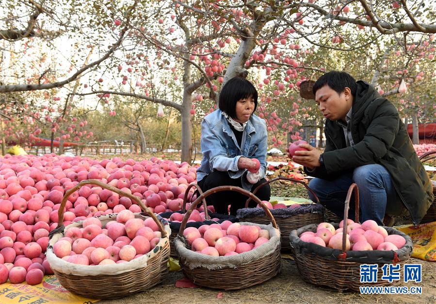 （圖文互動(dòng)）（4）傳遞溫暖和友愛(ài) 為了更好的明天——寫在第29次全國(guó)助殘日