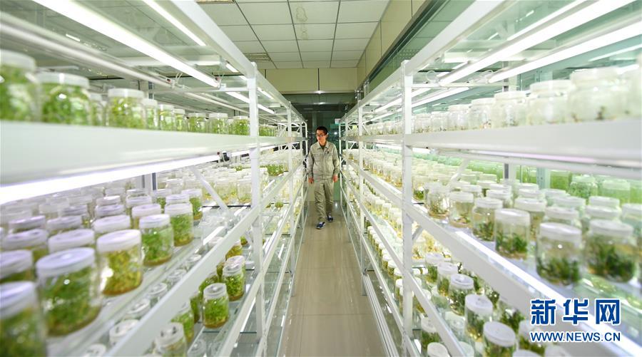(權威訪談·聚焦中國經濟亮點·圖文互動)(6)防治土地荒漠化 推動綠色發展——專訪國家林業和草原局副局長劉東生
