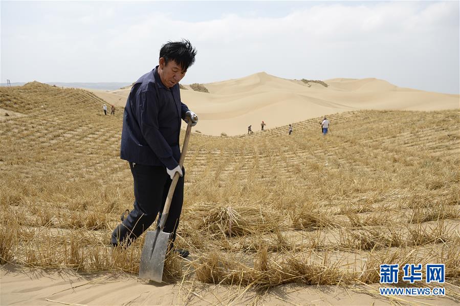 (權威訪談·聚焦中國經濟亮點·圖文互動)(9)防治土地荒漠化 推動綠色發展——專訪國家林業和草原局副局長劉東生