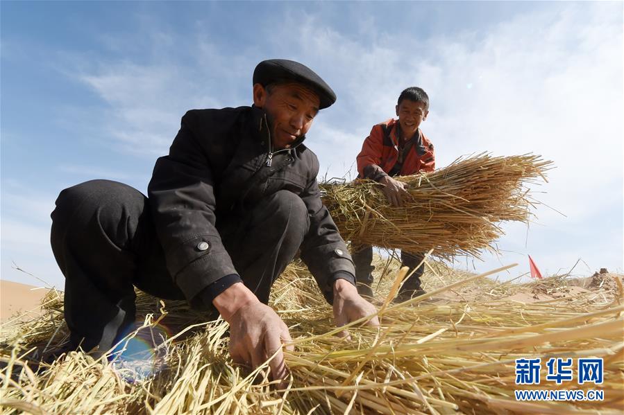 （在習近平新時代中國特色社會主義思想指引下——新時代新作為新篇章·習近平總書記關切事·圖文互動）（5）綠色映底蘊，山水見初心——生態優先、綠色發展持續造福群眾美好生活