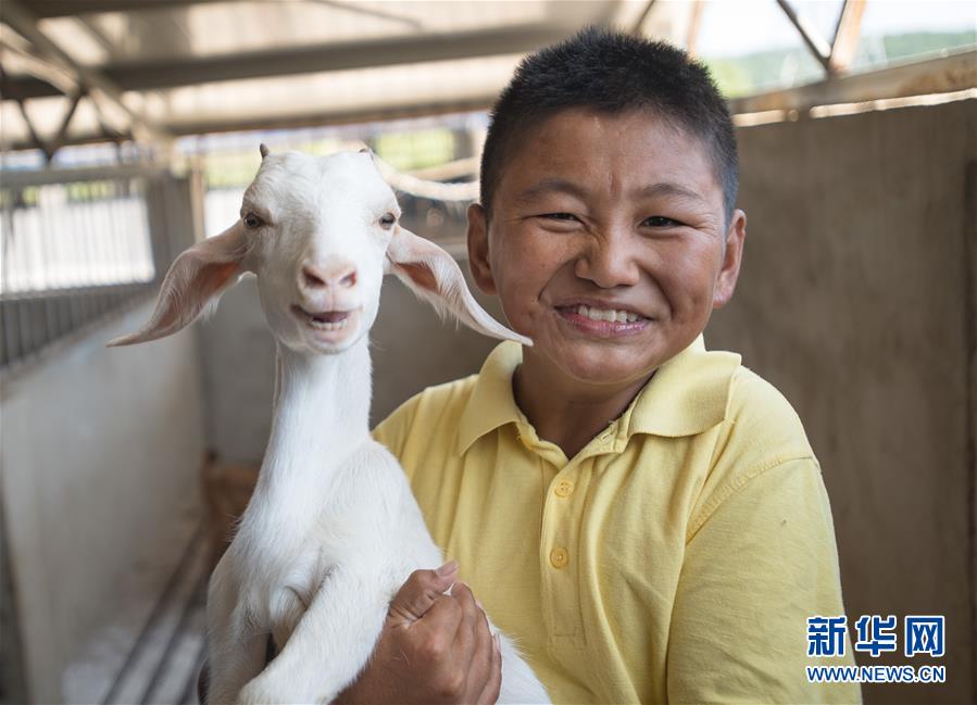 （新華全媒頭條·走向我們的小康生活·圖文互動）（5）特殊之年，荊楚大地書寫不平凡的答卷