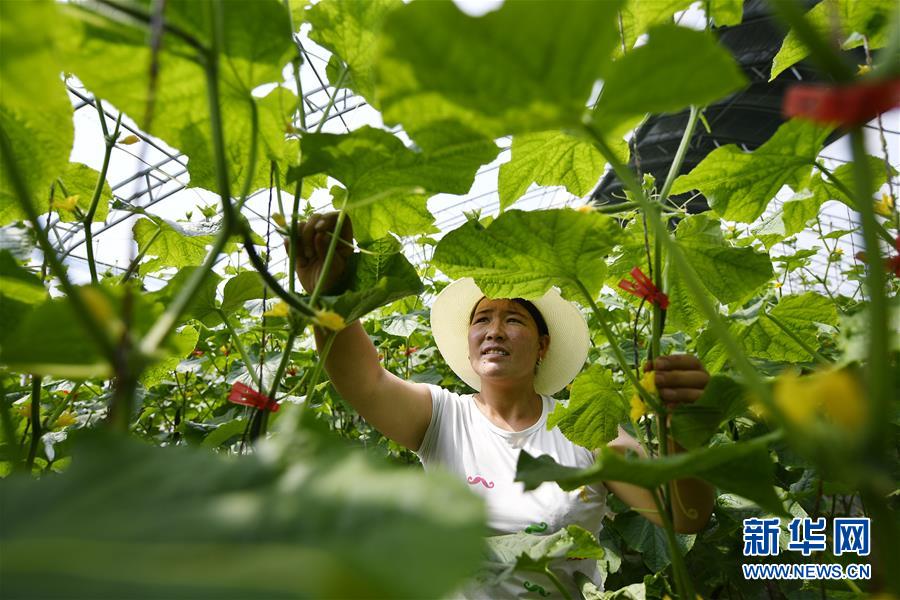 （新華全媒頭條·百萬大移民·圖文互動）（1）從大山深處到大河之畔——寧夏持續移民百萬“拔窮根”啟示