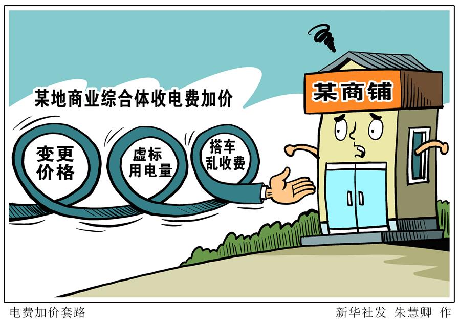 （圖表·漫畫）［新華視點(diǎn)·國務(wù)院大督查在行動］電費(fèi)加價套路