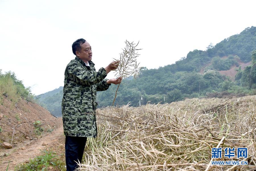 （代表委員履職·圖文互動）（1）“我是農民代表，始終關注農村”——全國人大代表沈昌健的履職故事