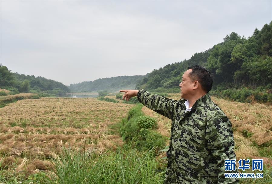 （代表委員履職·圖文互動）（2）“我是農民代表，始終關注農村”——全國人大代表沈昌健的履職故事