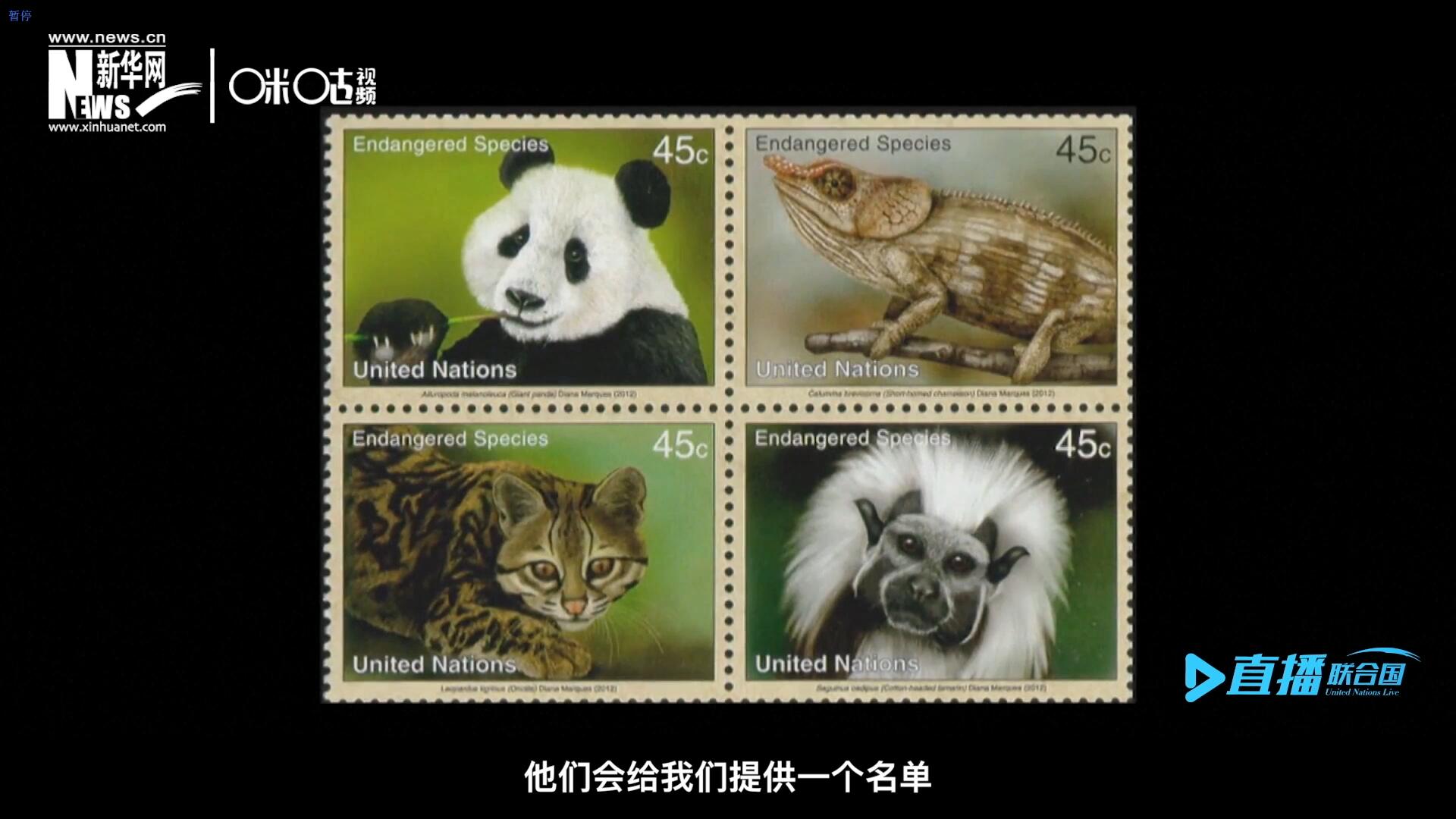 CITES（瀕危野生動植物種國際貿(mào)易公約）會給聯(lián)合國郵政設(shè)計師提供一個名單，雙方共同合作在附錄中找到名單中應(yīng)該受到關(guān)注的動物。