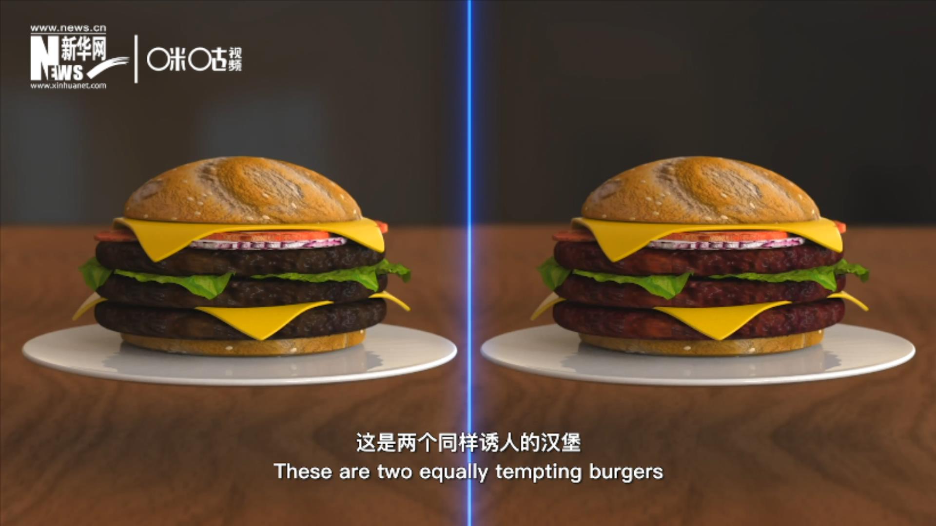 人造肉漢堡能在生產(chǎn)過程中節(jié)約水、土地、排放以及能量