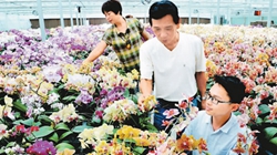 臺商眼中的改革開放：風(fēng)景這邊獨好 要去，要去，要去！