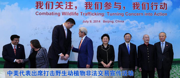 劉延?xùn)|、楊潔篪同美國(guó)國(guó)務(wù)卿克里共同出席中美打擊野生動(dòng)植物非法交易宣傳活動(dòng)（圖）